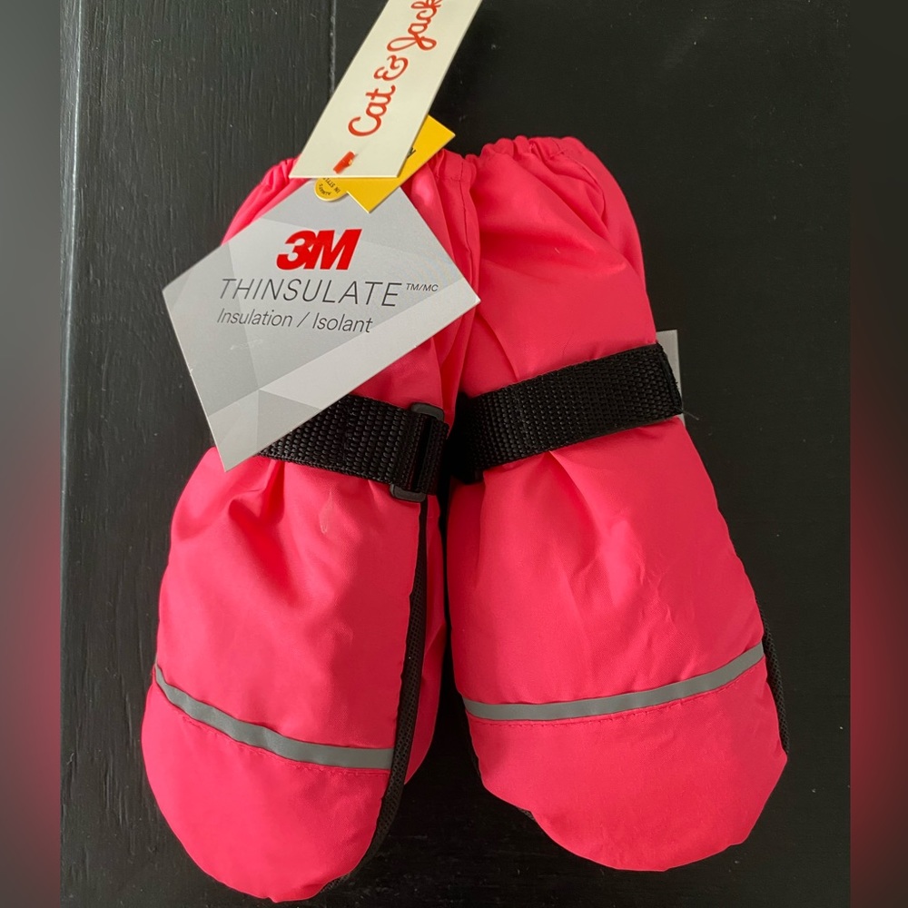Brand New Cat & Jack 3M Insulated Snow Mittens - NWT